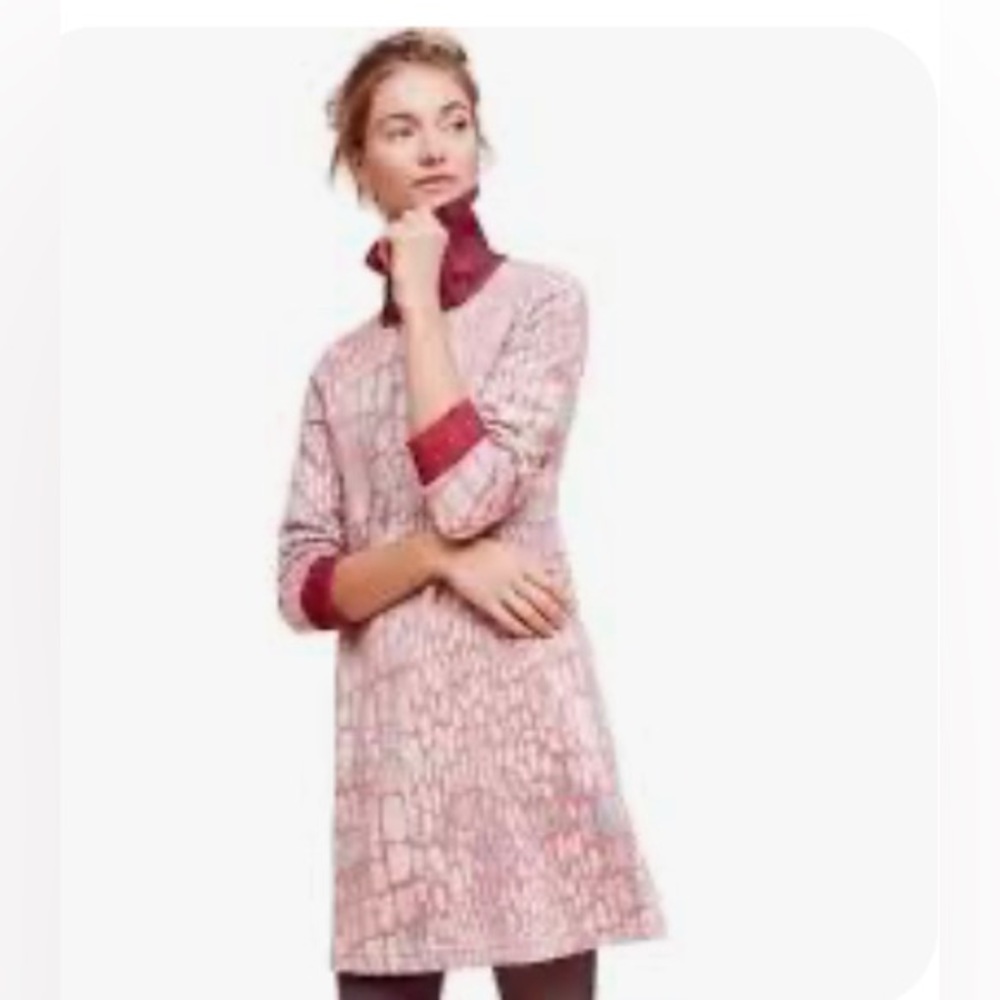 Anthropologie Pink Patterned Long-Sleeve Shift Dress with Burgundy Trim